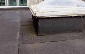 disadvantages of Ditcheat flat roofs